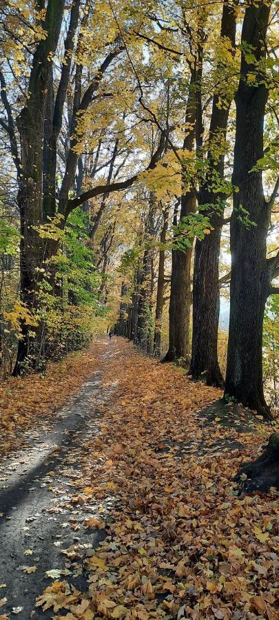 Jodla I Modrzew Lägenhet Jelenia Góra Exteriör bild