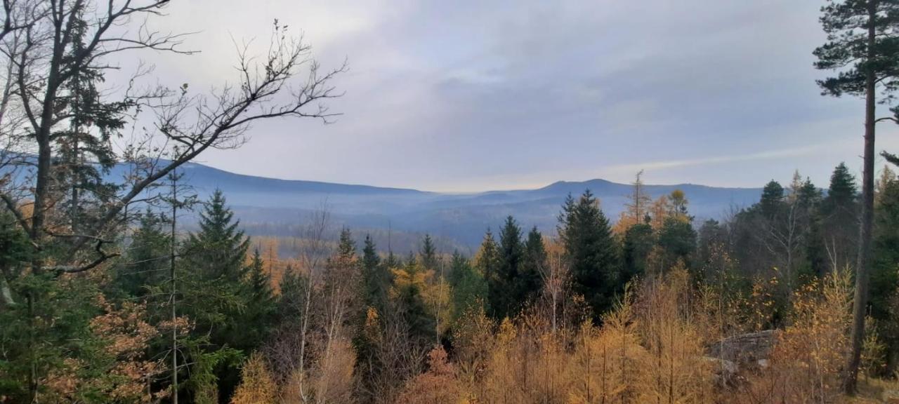 Jodla I Modrzew Lägenhet Jelenia Góra Exteriör bild